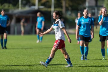 Bild 165 - wBJ VfL Pinneberg - Hamburger SV 2 : Ergebnis: 1:3